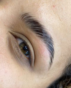LAMINADO DE CEJAS