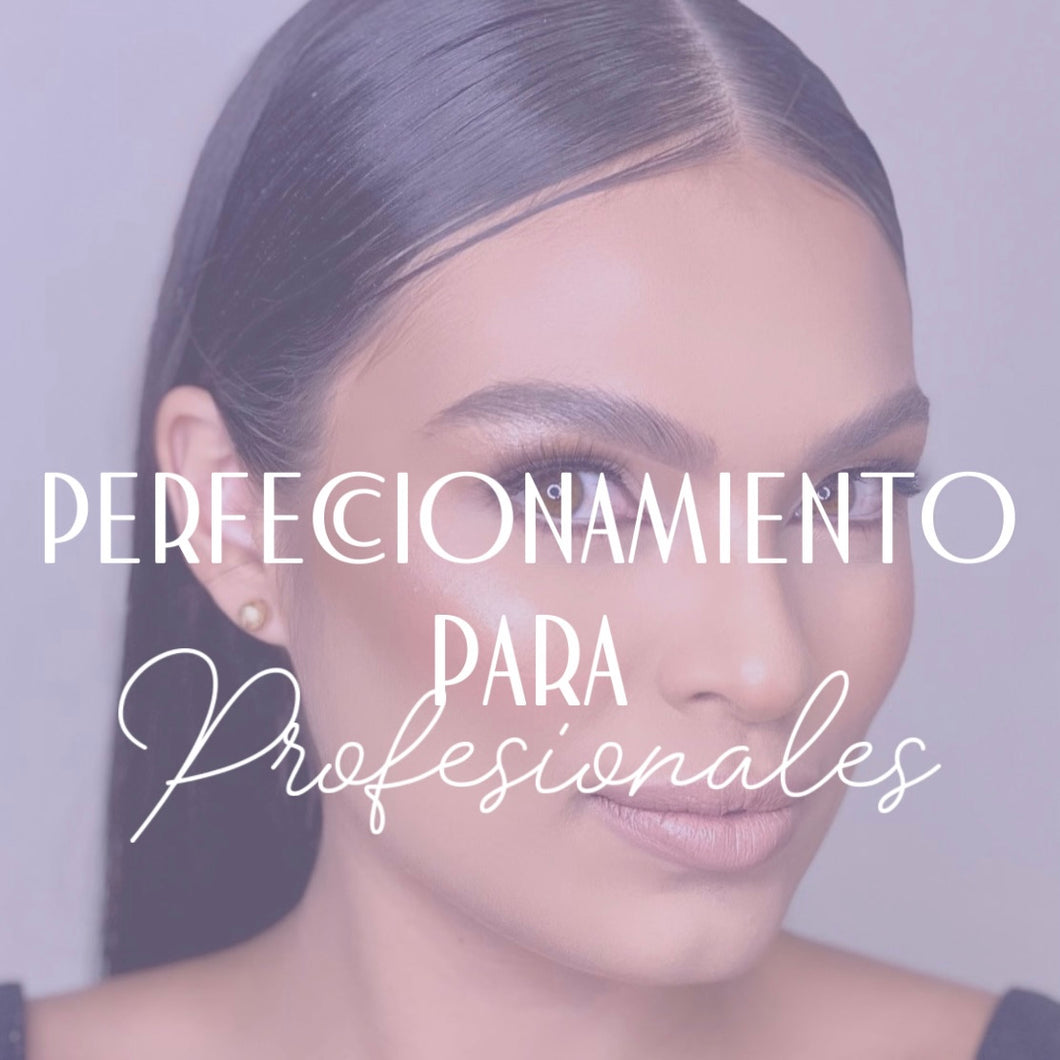 PERFECCIONAMIENTOS PARA PROFESIONALES